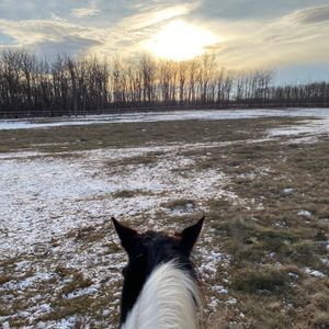 Meet your Posher, Christa